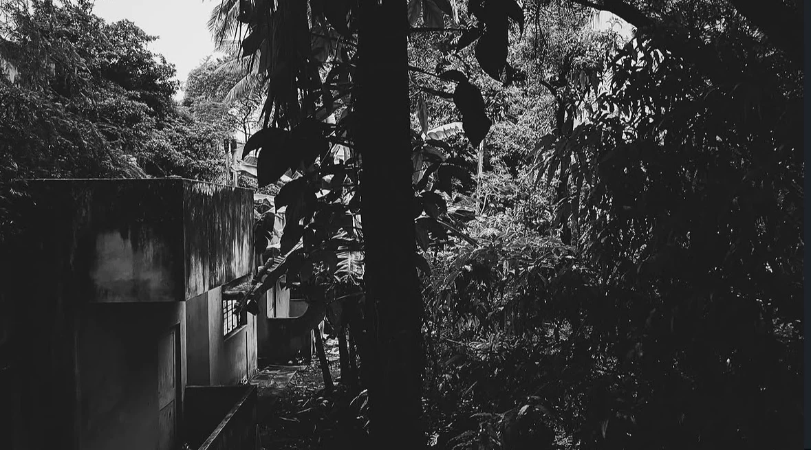 Untitled, 25, Kunsh Sharma, 2025, Photograph